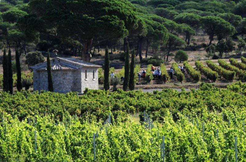 La Bastide Du Clos Des Roses - Teritoria Fréjus المظهر الخارجي الصورة
