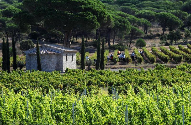 Fréjus La Bastide Du Clos Des Roses - Teritoria المظهر الخارجي الصورة