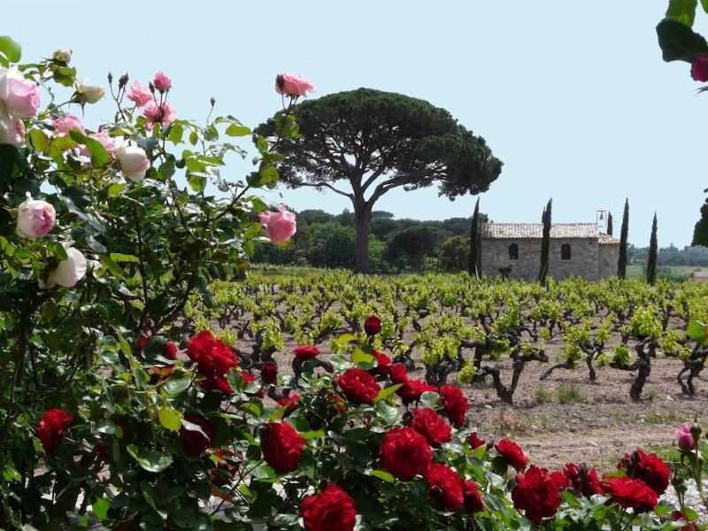 La Bastide Du Clos Des Roses - Teritoria Fréjus المظهر الخارجي الصورة